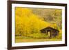 USA, Colorado, White River National Forest. Ashcroft Ghost Town cabin.-Jaynes Gallery-Framed Photographic Print