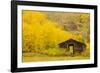 USA, Colorado, White River National Forest. Ashcroft Ghost Town cabin.-Jaynes Gallery-Framed Photographic Print