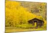 USA, Colorado, White River National Forest. Ashcroft Ghost Town cabin.-Jaynes Gallery-Mounted Photographic Print