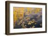 USA, Colorado, White River National Forest, Aspen, pond-Charles Gurche-Framed Photographic Print