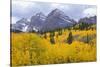 USA, Colorado, White River National Forest, Maroon Bells Snowmass Wilderness-John Barger-Stretched Canvas