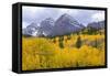 USA, Colorado, White River National Forest, Maroon Bells Snowmass Wilderness-John Barger-Framed Stretched Canvas