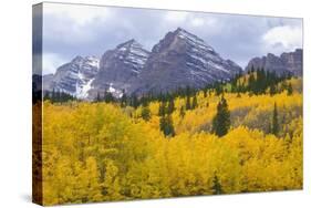 USA, Colorado, White River National Forest, Maroon Bells Snowmass Wilderness-John Barger-Stretched Canvas