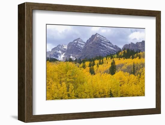 USA, Colorado, White River National Forest, Maroon Bells Snowmass Wilderness-John Barger-Framed Photographic Print