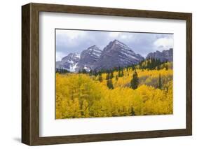 USA, Colorado, White River National Forest, Maroon Bells Snowmass Wilderness-John Barger-Framed Photographic Print