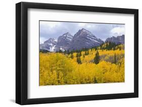 USA, Colorado, White River National Forest, Maroon Bells Snowmass Wilderness-John Barger-Framed Photographic Print