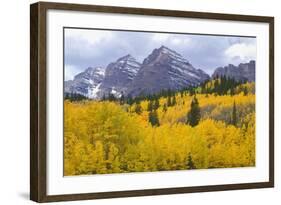 USA, Colorado, White River National Forest, Maroon Bells Snowmass Wilderness-John Barger-Framed Photographic Print