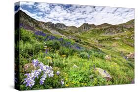 USA, Colorado. Wildflowers in American Basin in the San Juan Mountains-Dennis Flaherty-Stretched Canvas