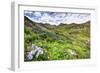 USA, Colorado. Wildflowers in American Basin in the San Juan Mountains-Dennis Flaherty-Framed Photographic Print
