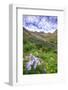 USA, Colorado. Wildflowers in American Basin in the San Juan Mountains-Dennis Flaherty-Framed Photographic Print