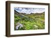 USA, Colorado. Wildflowers in American Basin in the San Juan Mountains-Dennis Flaherty-Framed Photographic Print