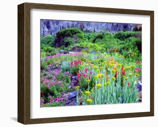 USA, Colorado, Wildflowers in Yankee Boy Basin in the Rocky Mountains-Jaynes Gallery-Framed Photographic Print