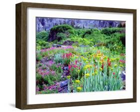 USA, Colorado, Wildflowers in Yankee Boy Basin in the Rocky Mountains-Jaynes Gallery-Framed Photographic Print