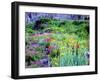 USA, Colorado, Wildflowers in Yankee Boy Basin in the Rocky Mountains-Jaynes Gallery-Framed Photographic Print