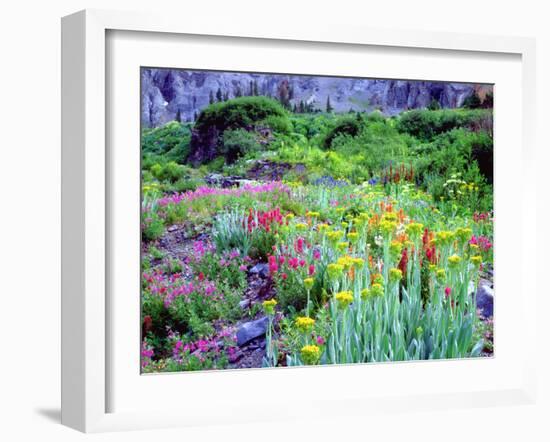 USA, Colorado, Wildflowers in Yankee Boy Basin in the Rocky Mountains-Jaynes Gallery-Framed Photographic Print