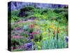 USA, Colorado, Wildflowers in Yankee Boy Basin in the Rocky Mountains-Jaynes Gallery-Stretched Canvas