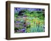 USA, Colorado, Wildflowers in Yankee Boy Basin in the Rocky Mountains-Jaynes Gallery-Framed Photographic Print