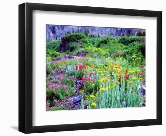 USA, Colorado, Wildflowers in Yankee Boy Basin in the Rocky Mountains-Jaynes Gallery-Framed Photographic Print