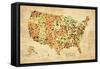 USA Crystallized County Map-David Bowman-Framed Stretched Canvas