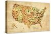 USA Crystallized County Map-David Bowman-Stretched Canvas