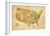 USA Crystallized County Map-David Bowman-Framed Giclee Print