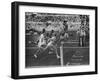 Usa Dave Sime and German Armin Hary at End of Men's 100-Meter Dash-null-Framed Premium Photographic Print