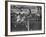 Usa Dave Sime and German Armin Hary at End of Men's 100-Meter Dash-null-Framed Premium Photographic Print