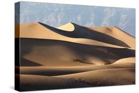 USA, Death Valley National Park, Mesquite Flat Sand Dunes-Catharina Lux-Stretched Canvas