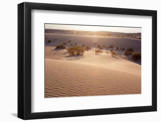 USA, Death Valley National Park, Mesquite Flat Sand Dunes-Catharina Lux-Framed Photographic Print