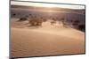 USA, Death Valley National Park, Mesquite Flat Sand Dunes-Catharina Lux-Mounted Photographic Print