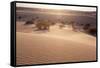 USA, Death Valley National Park, Mesquite Flat Sand Dunes-Catharina Lux-Framed Stretched Canvas