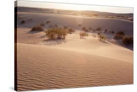 USA, Death Valley National Park, Mesquite Flat Sand Dunes-Catharina Lux-Stretched Canvas