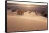 USA, Death Valley National Park, Mesquite Flat Sand Dunes-Catharina Lux-Framed Stretched Canvas