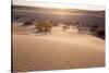 USA, Death Valley National Park, Mesquite Flat Sand Dunes-Catharina Lux-Stretched Canvas