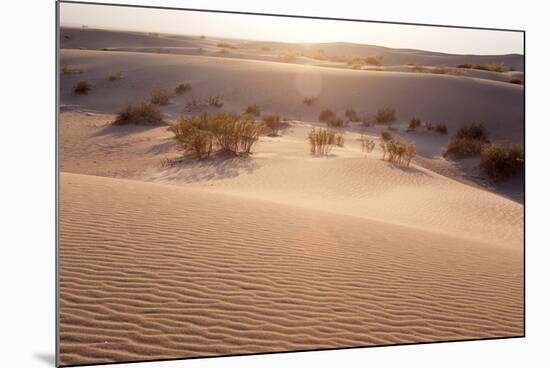 USA, Death Valley National Park, Mesquite Flat Sand Dunes-Catharina Lux-Mounted Photographic Print