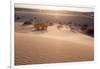 USA, Death Valley National Park, Mesquite Flat Sand Dunes-Catharina Lux-Framed Photographic Print