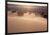 USA, Death Valley National Park, Mesquite Flat Sand Dunes-Catharina Lux-Framed Photographic Print