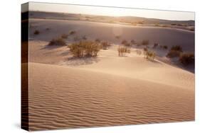 USA, Death Valley National Park, Mesquite Flat Sand Dunes-Catharina Lux-Stretched Canvas