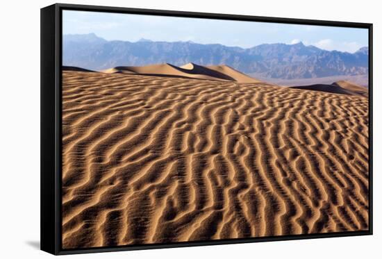 USA, Death Valley National Park, Mesquite Flat Sand Dunes-Catharina Lux-Framed Stretched Canvas