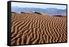 USA, Death Valley National Park, Mesquite Flat Sand Dunes-Catharina Lux-Framed Stretched Canvas