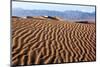 USA, Death Valley National Park, Mesquite Flat Sand Dunes-Catharina Lux-Mounted Photographic Print