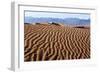 USA, Death Valley National Park, Mesquite Flat Sand Dunes-Catharina Lux-Framed Photographic Print