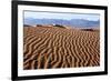 USA, Death Valley National Park, Mesquite Flat Sand Dunes-Catharina Lux-Framed Photographic Print