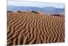 USA, Death Valley National Park, Mesquite Flat Sand Dunes-Catharina Lux-Mounted Photographic Print