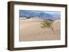 USA, Death Valley National Park, Mesquite Flat Sand Dunes-Catharina Lux-Framed Photographic Print