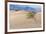 USA, Death Valley National Park, Mesquite Flat Sand Dunes-Catharina Lux-Framed Photographic Print