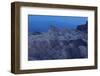 USA, Death Valley National Park, Zabriskie Point, Sunrise-Catharina Lux-Framed Photographic Print