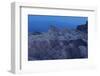 USA, Death Valley National Park, Zabriskie Point, Sunrise-Catharina Lux-Framed Photographic Print