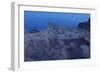 USA, Death Valley National Park, Zabriskie Point, Sunrise-Catharina Lux-Framed Photographic Print