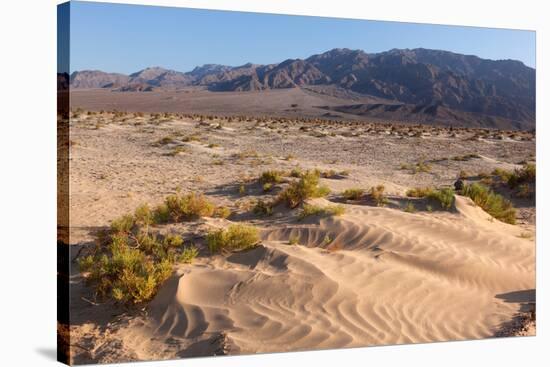 USA, Death Valley National Park-Catharina Lux-Stretched Canvas